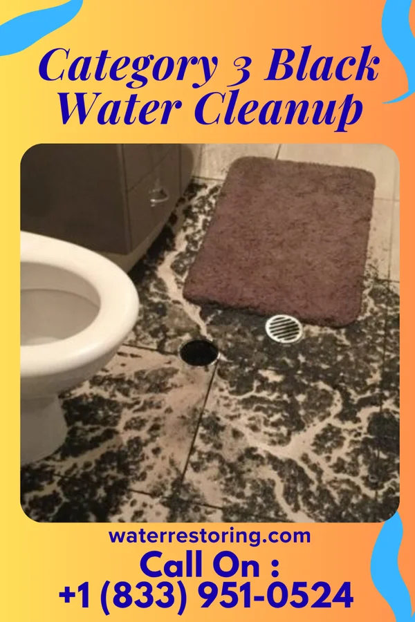 Category 3 Black Water Cleanup in Faxon, PA