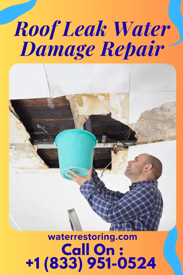 Roof Leak Water Damage Repair in Faxon, PA