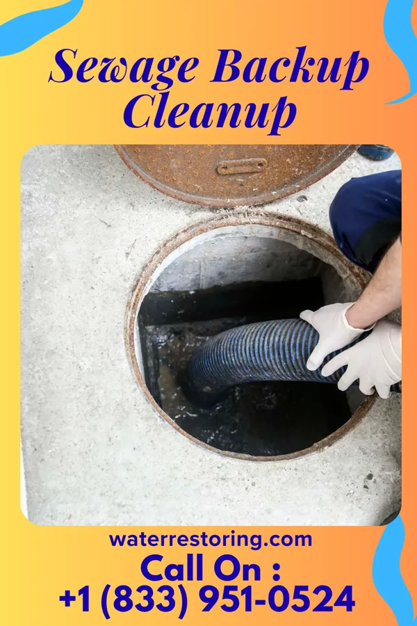 Sewage Backup Cleanup in Faxon, PA