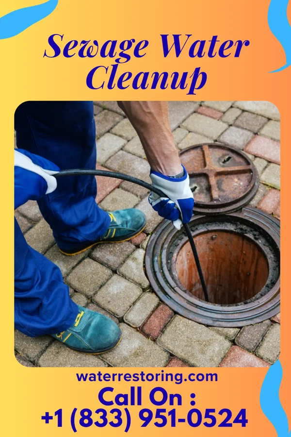 Sewage Water Cleanup in Faxon, PA